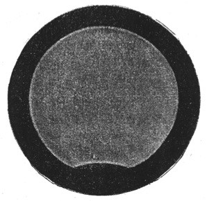 Premier daguerréotype du Soleil en 1839 - droits : CNAM